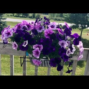 Meet your Posher, Helen